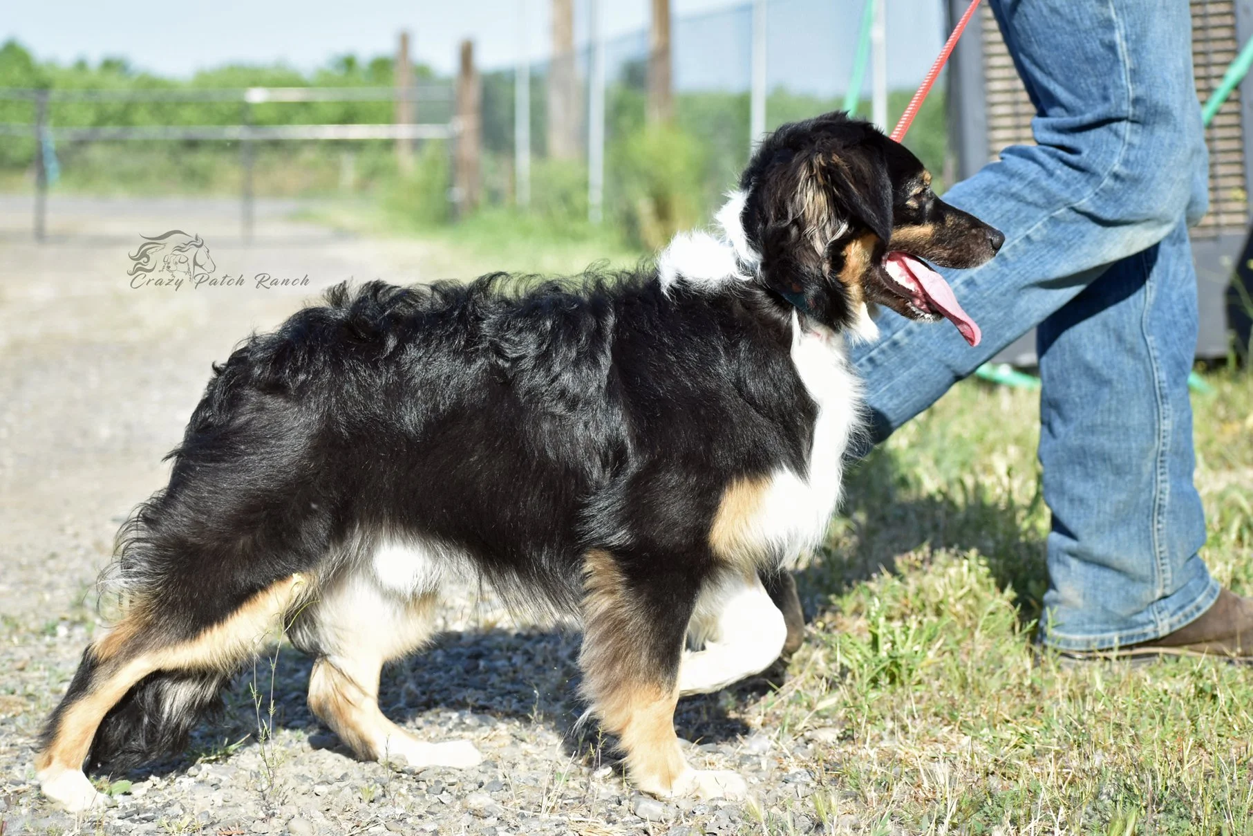 DSC_40481.jpg
