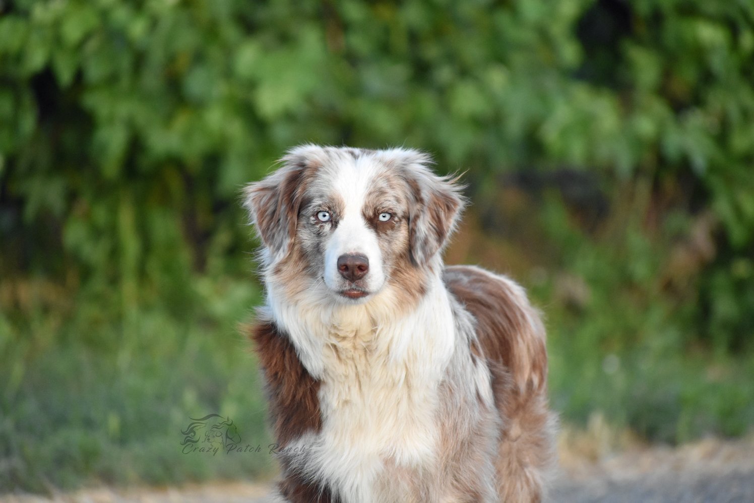 DSC_46361.jpg