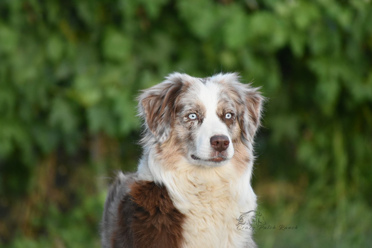 DSC_46501.jpg