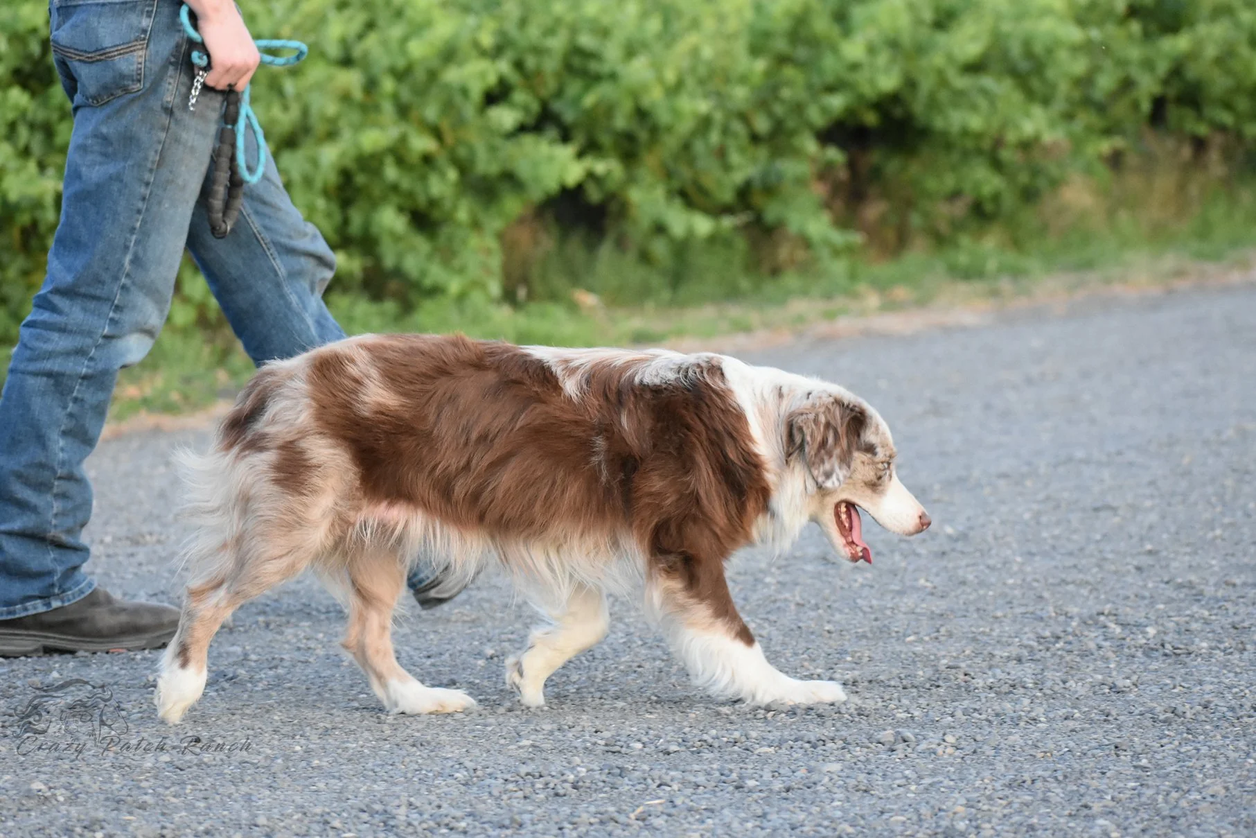 DSC_46641.jpg