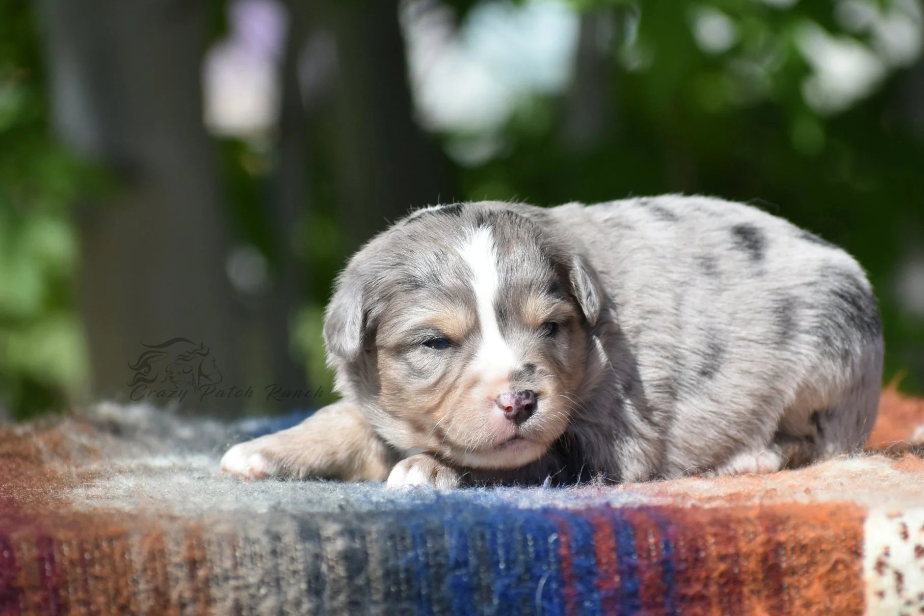 DSC_33541.jpg