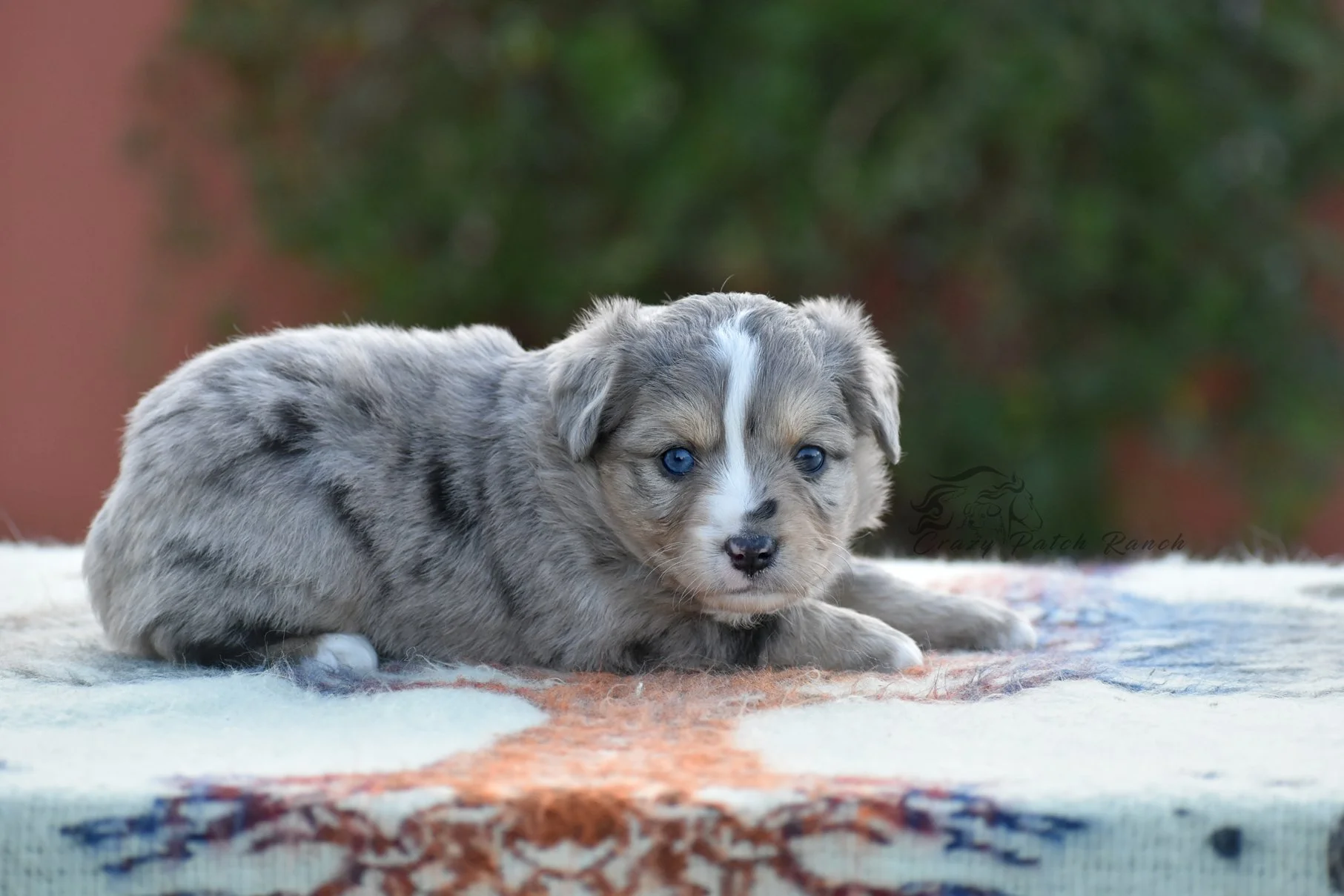 DSC_37781.jpg