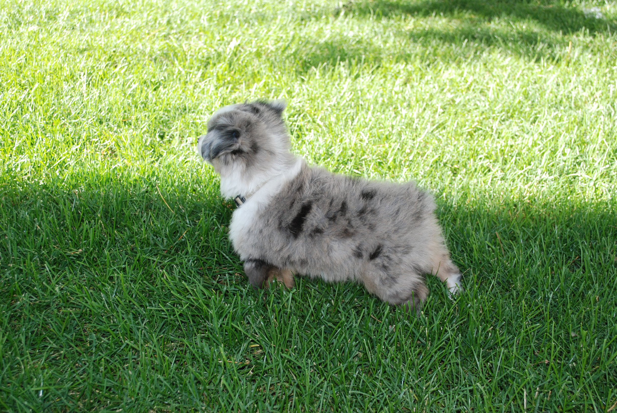 DSC_5787.JPG