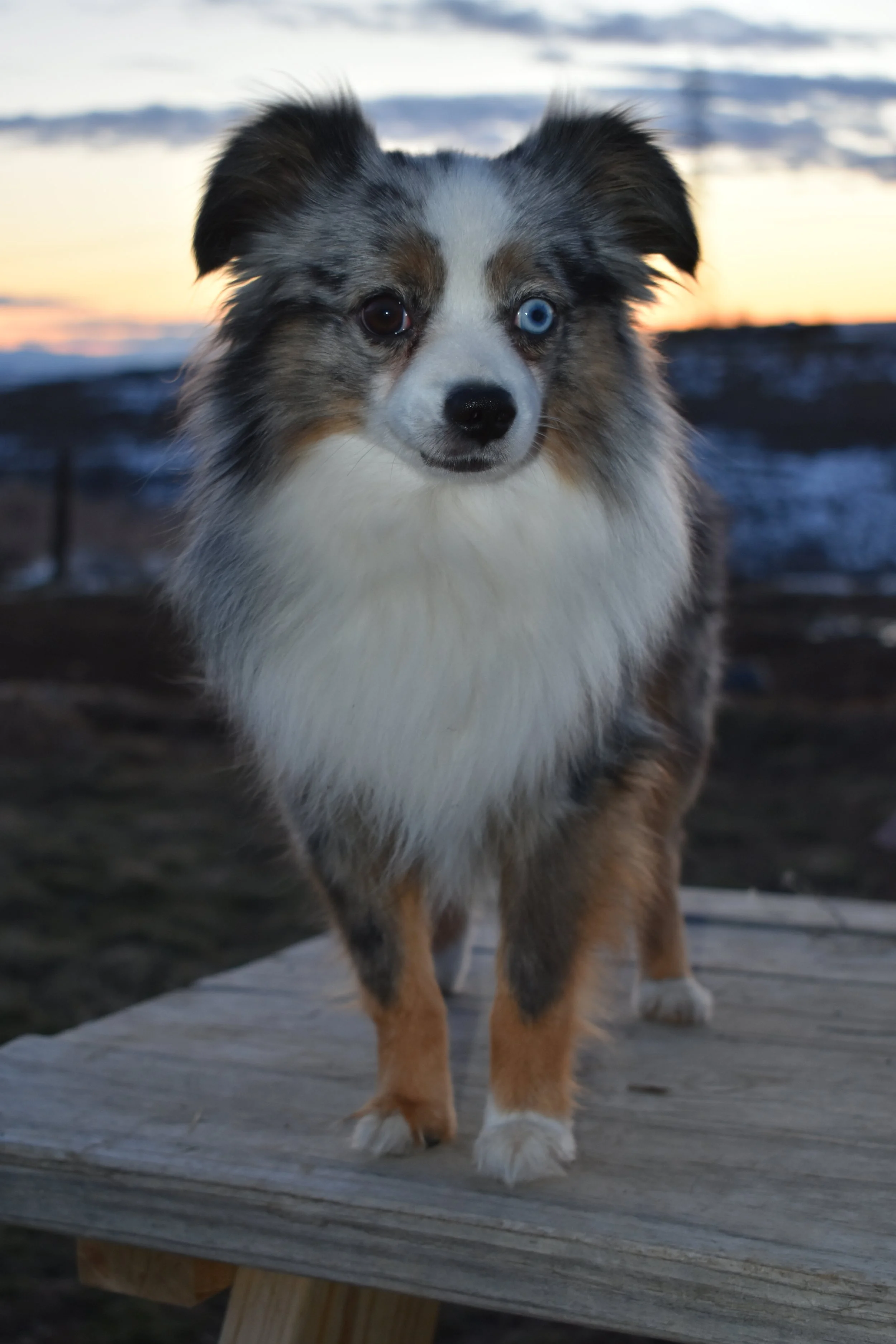 DSC_6035.JPG