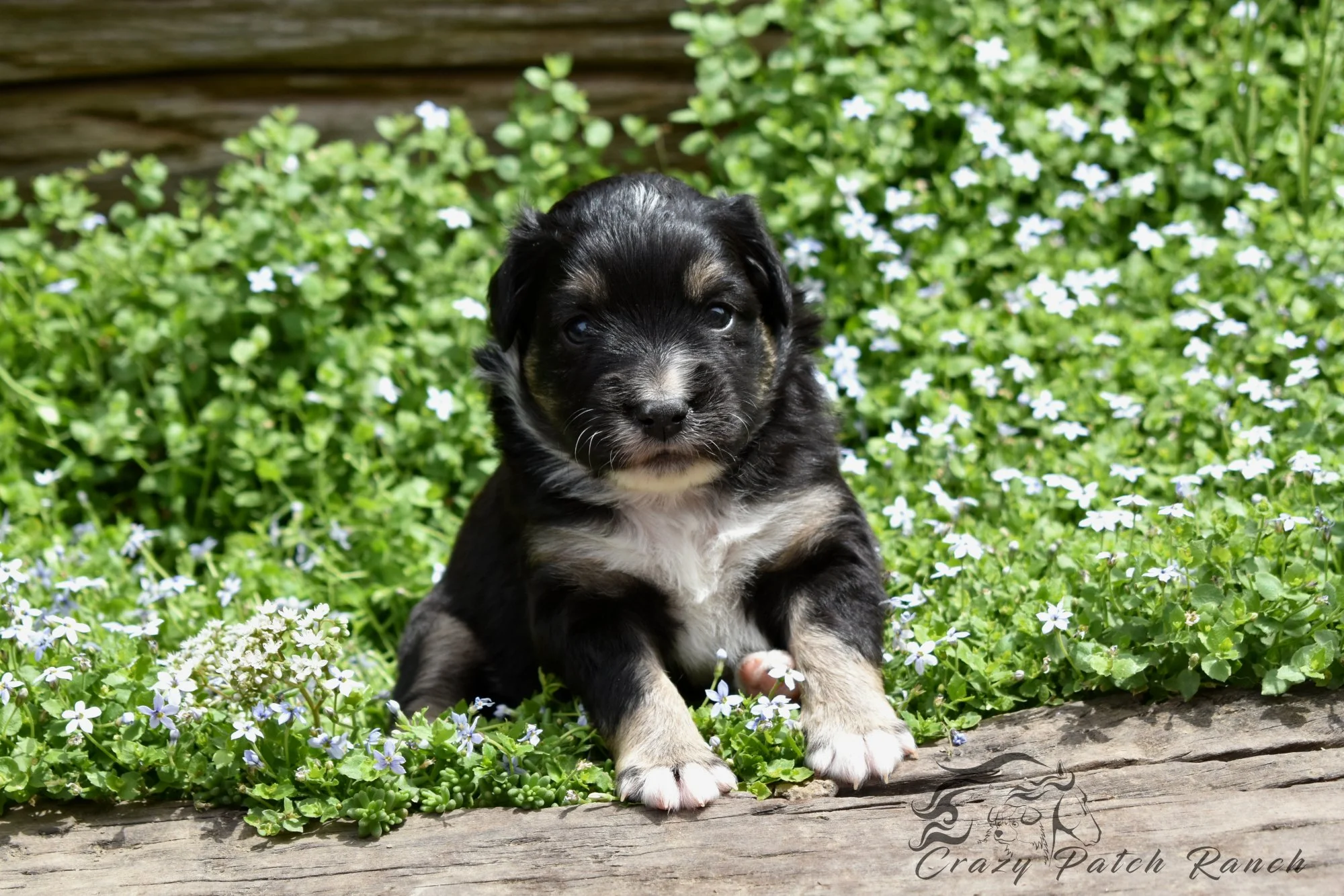 DSC_87641.JPG