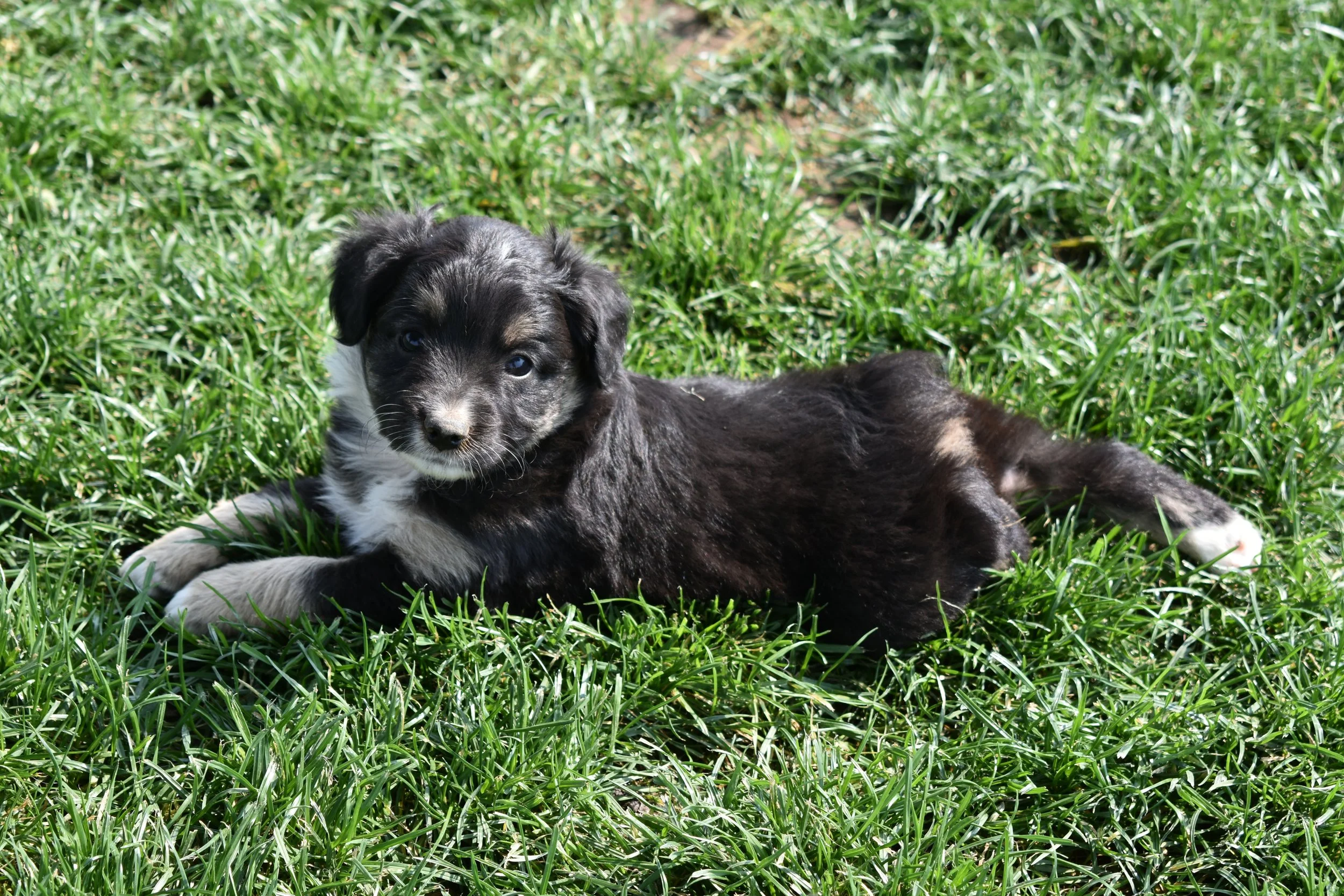 DSC_9439.JPG