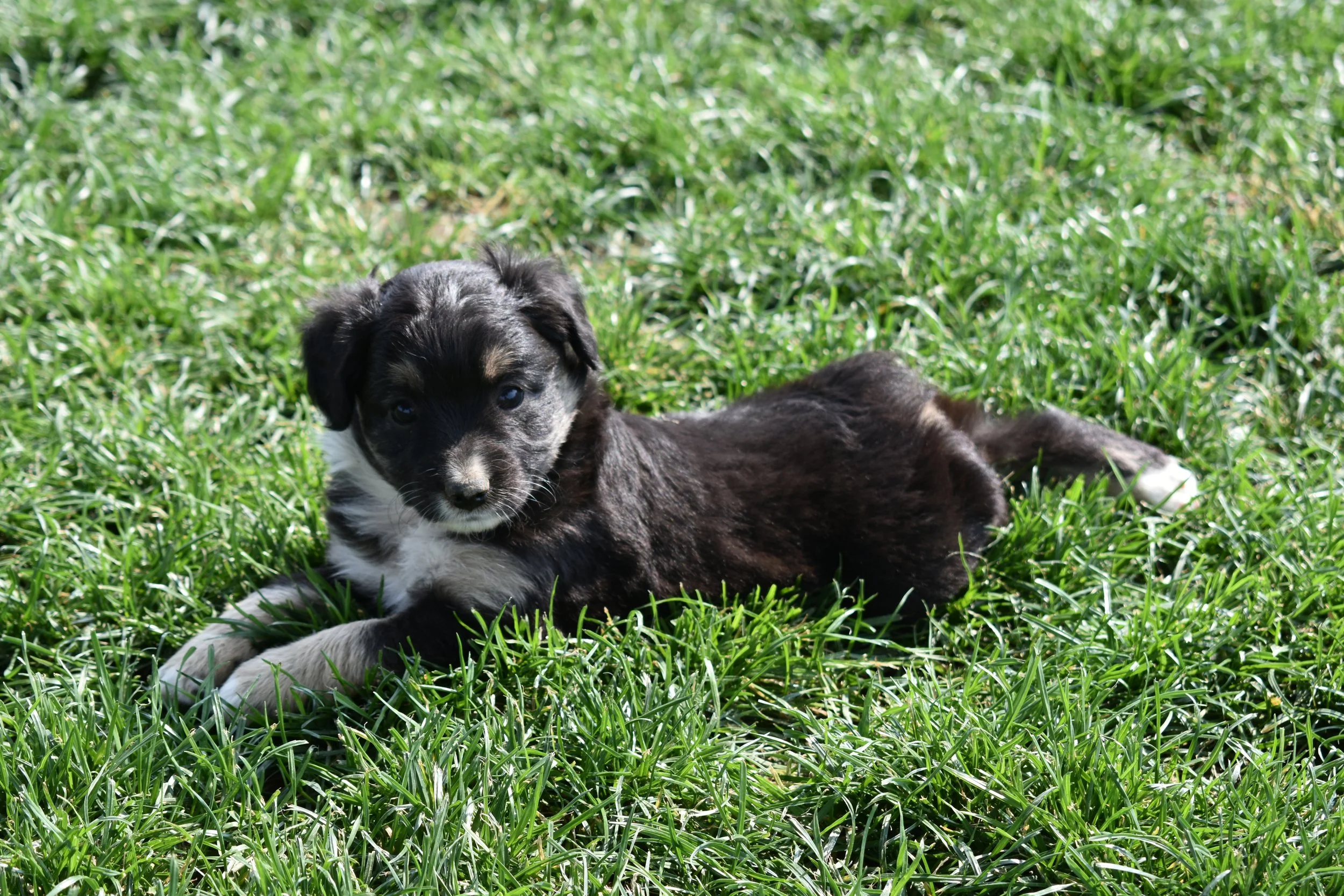 DSC_9443.JPG