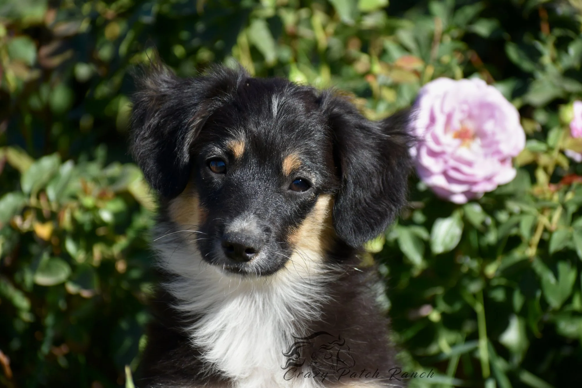 DSC_19491.JPG