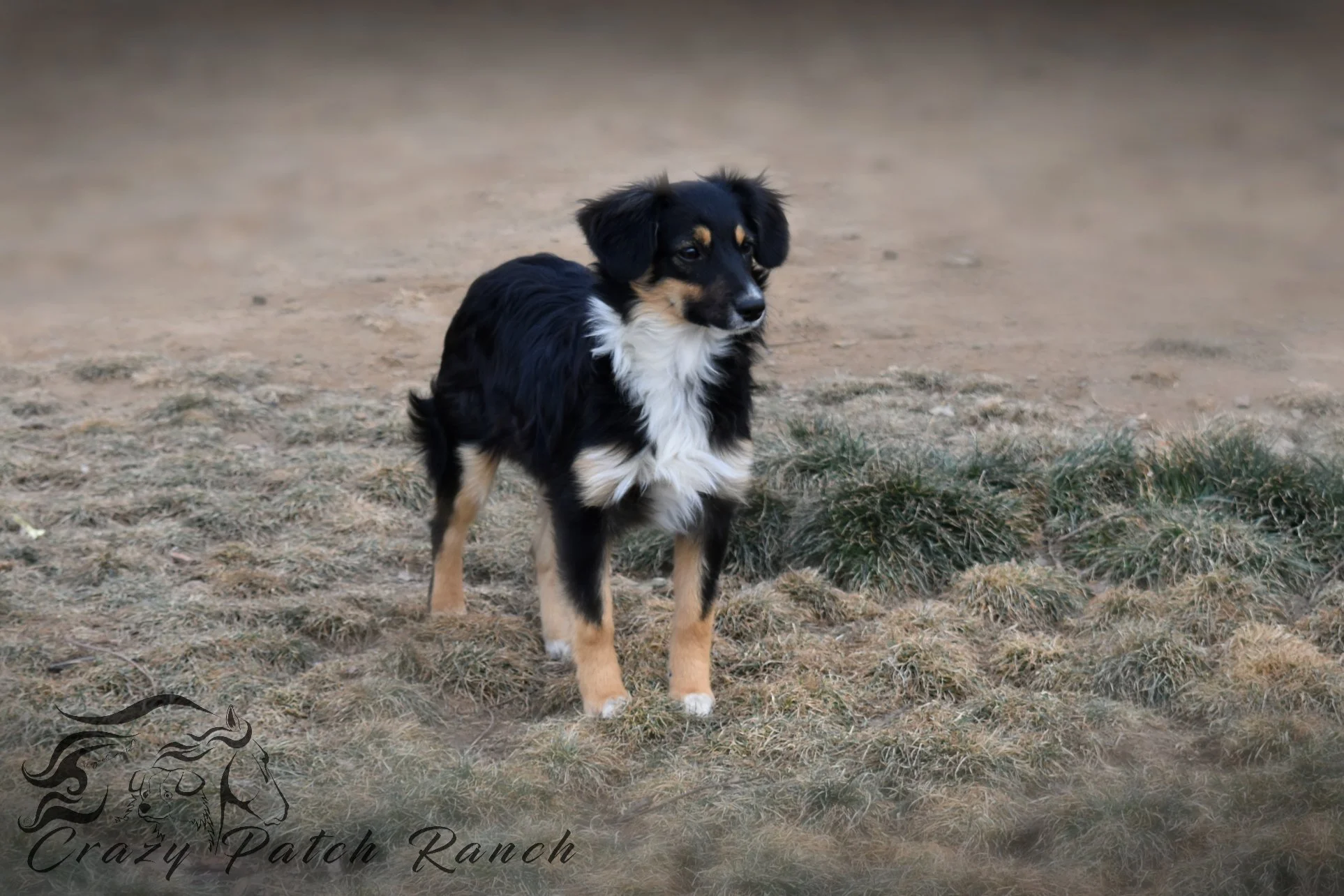 DSC_32811.JPG