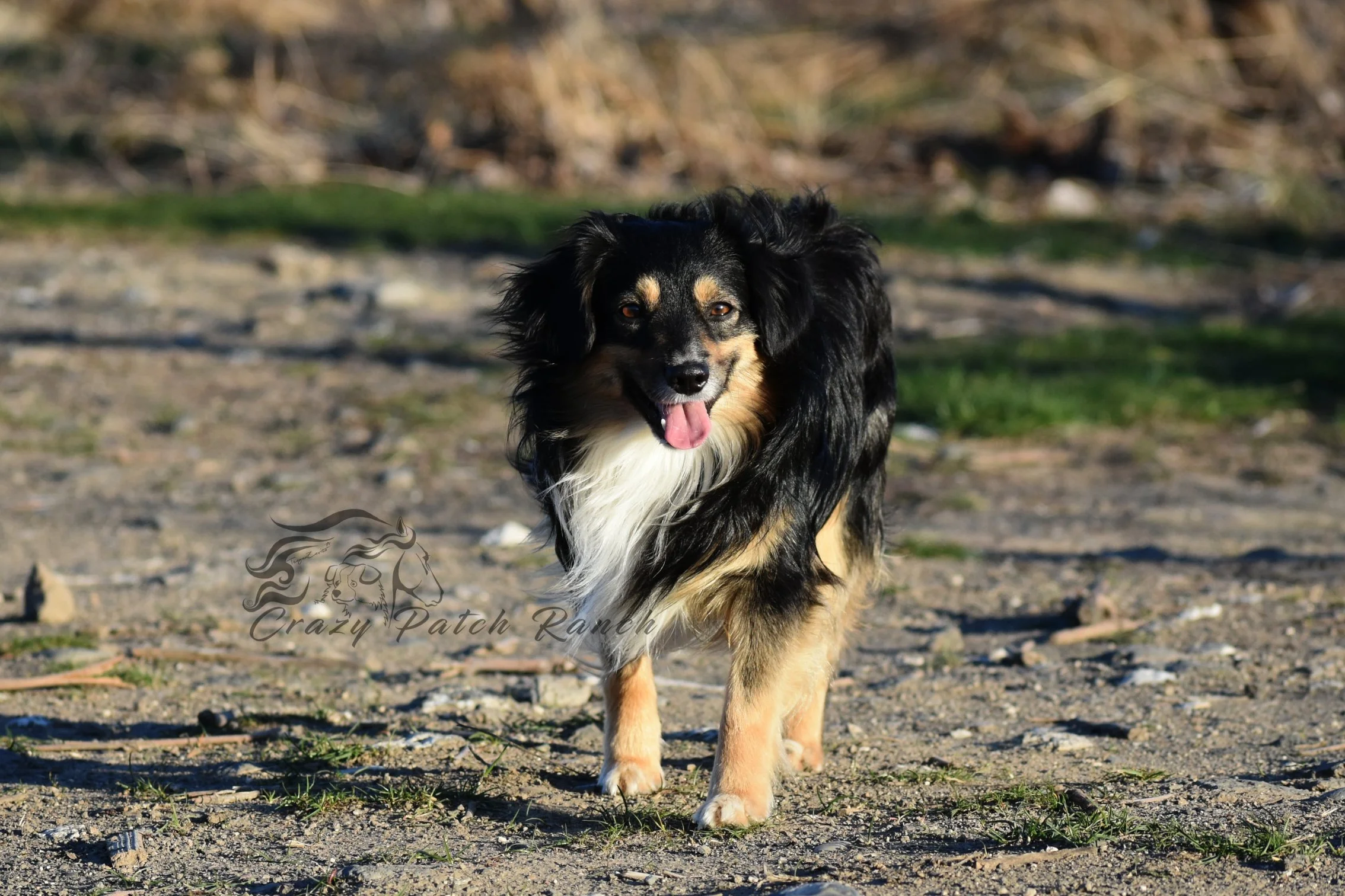 DSC_13911.JPG