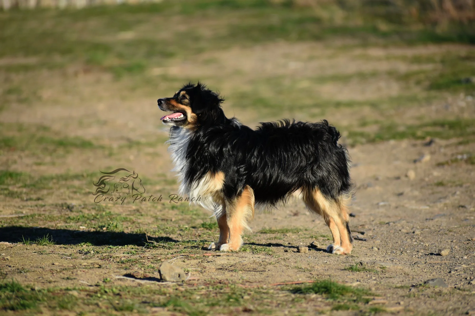 DSC_14431.JPG