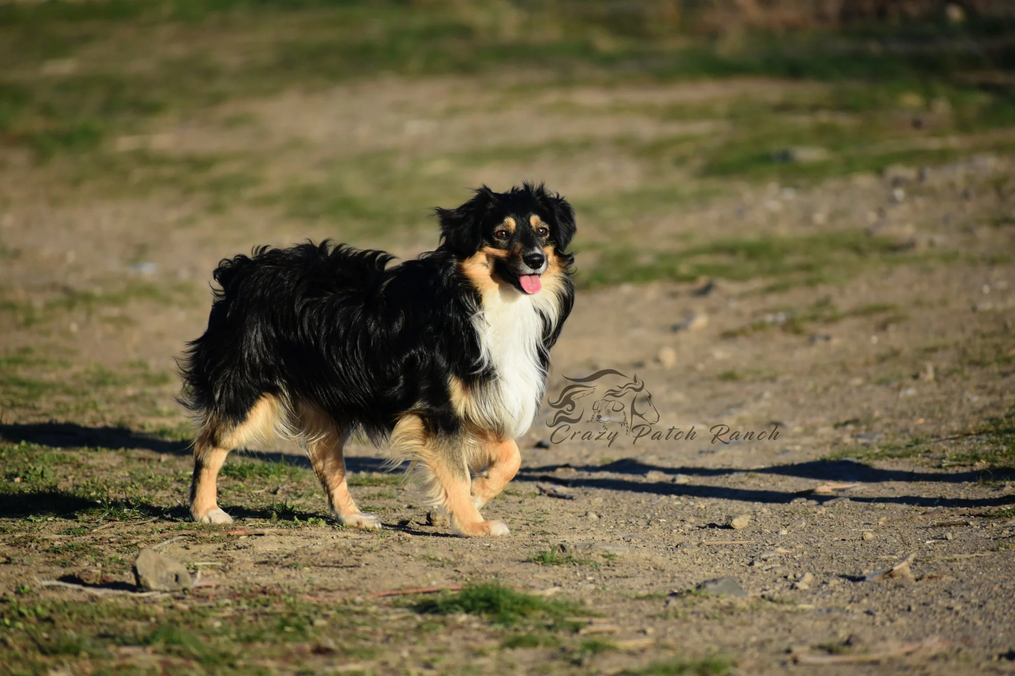 DSC_14461.JPG
