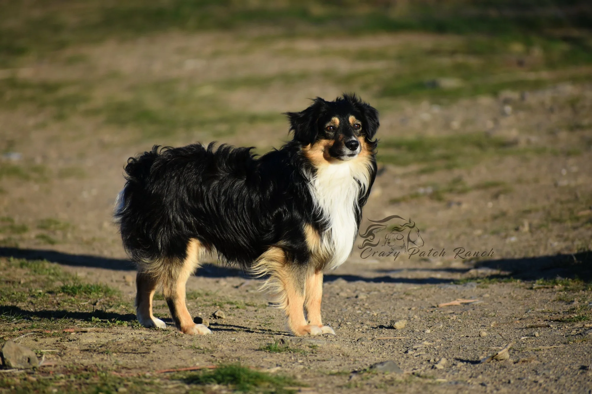 DSC_14541.JPG
