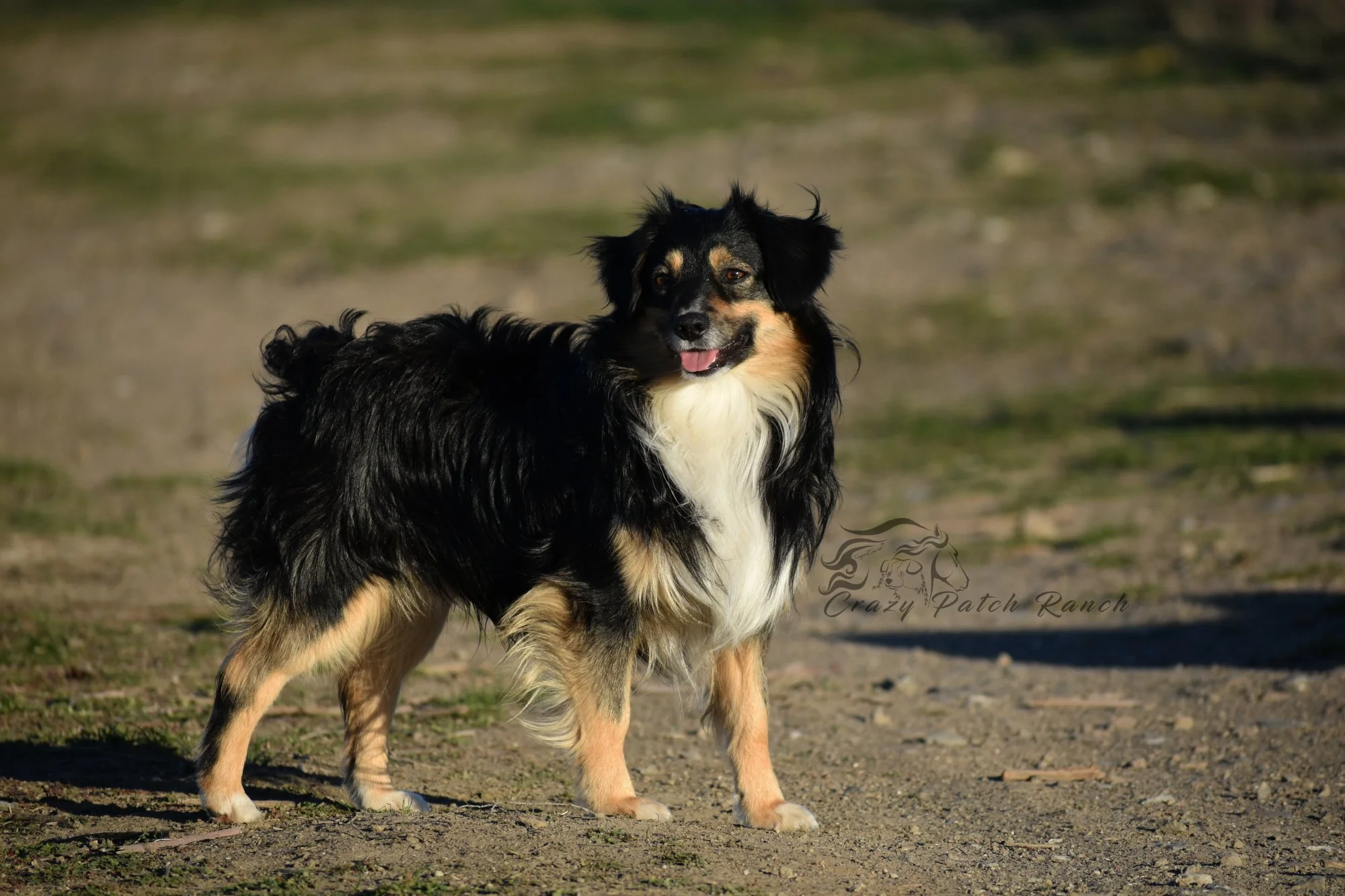 DSC_15061.JPG