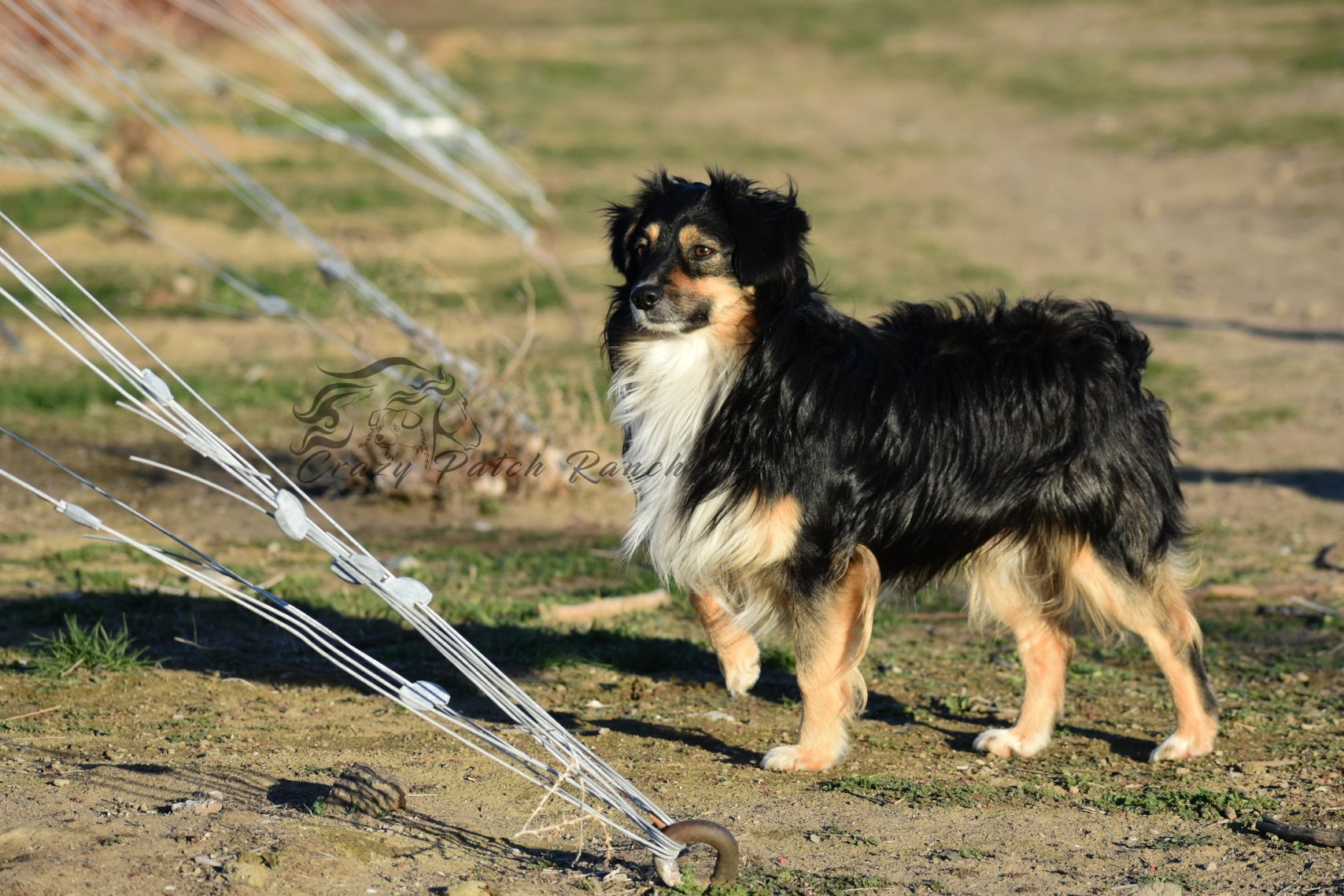 DSC_15351.JPG