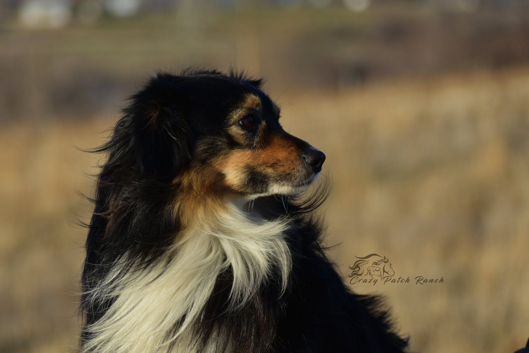 DSC_84641.JPG