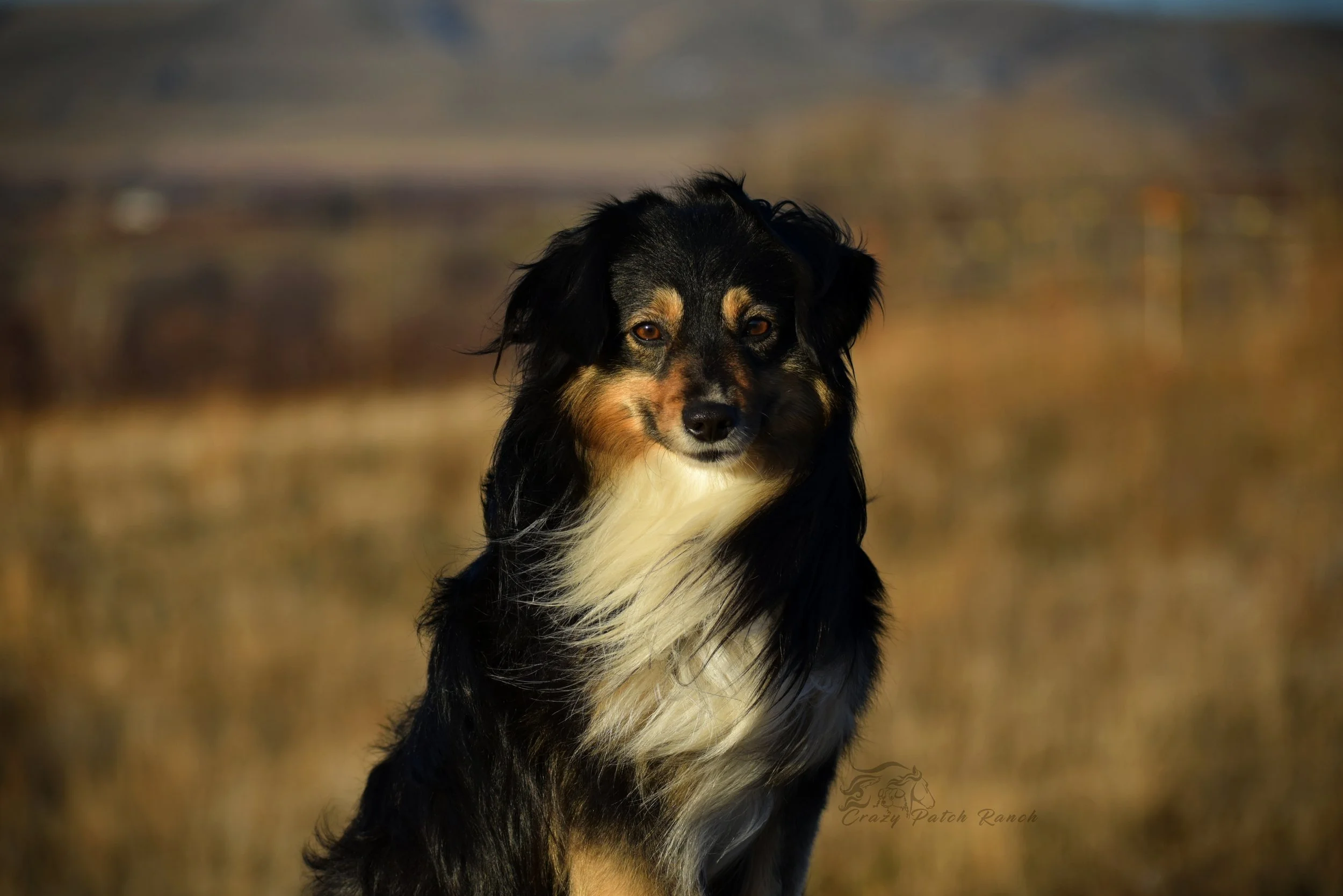DSC_84882.JPG