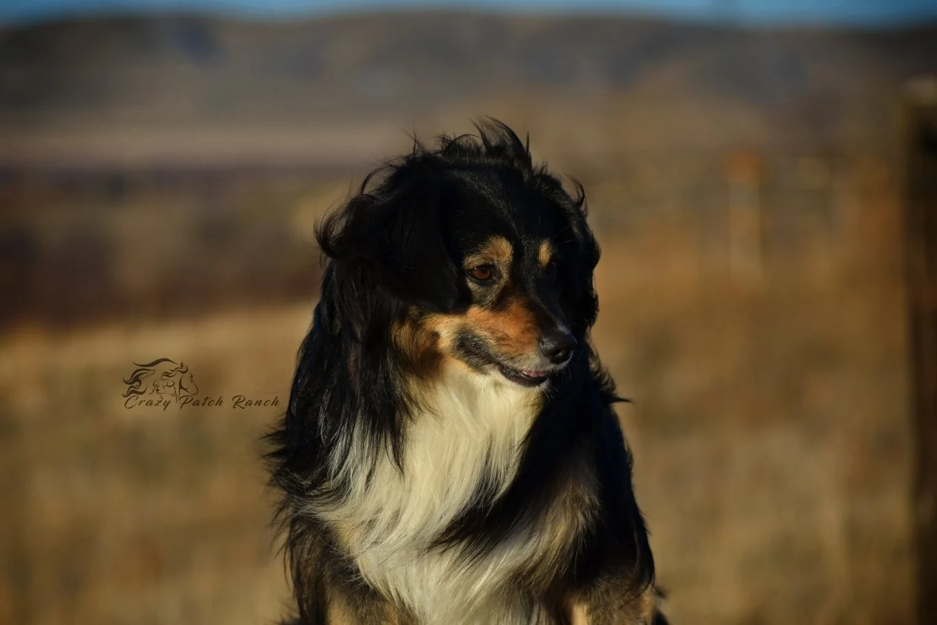 DSC_848411.JPG