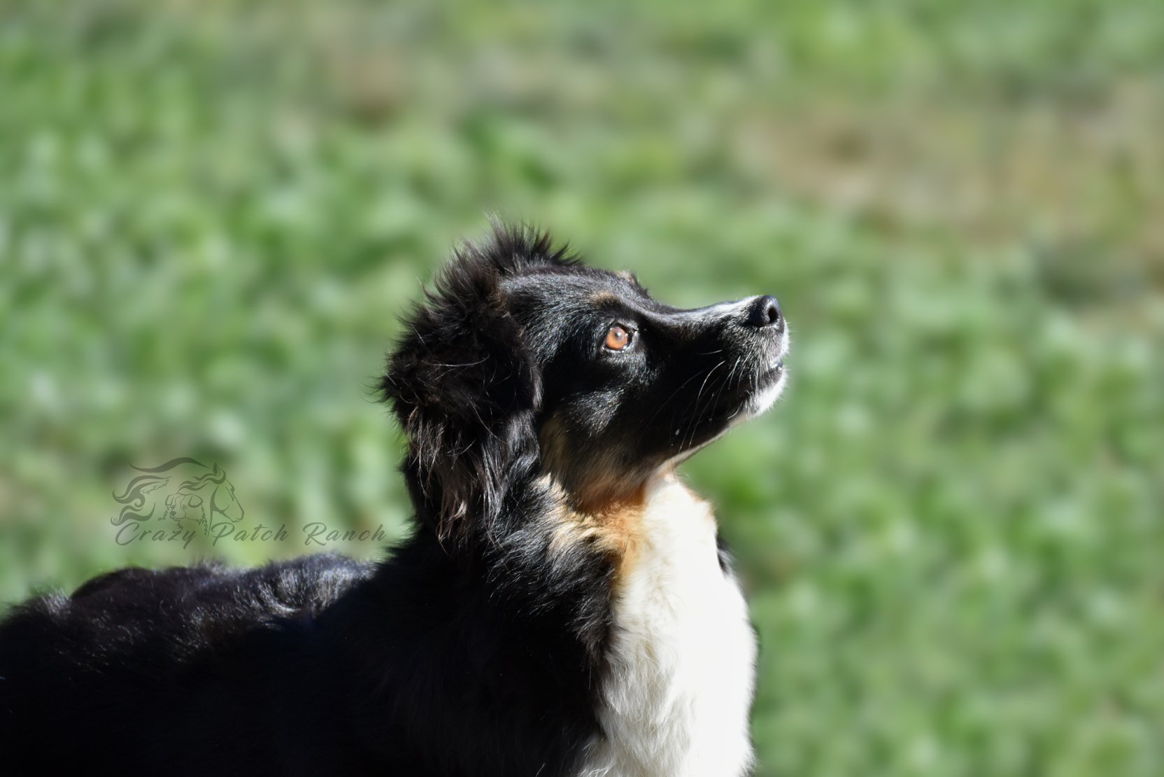 DSC_24461.JPG