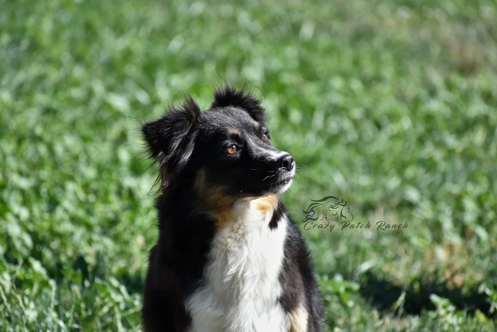 DSC_24401.JPG