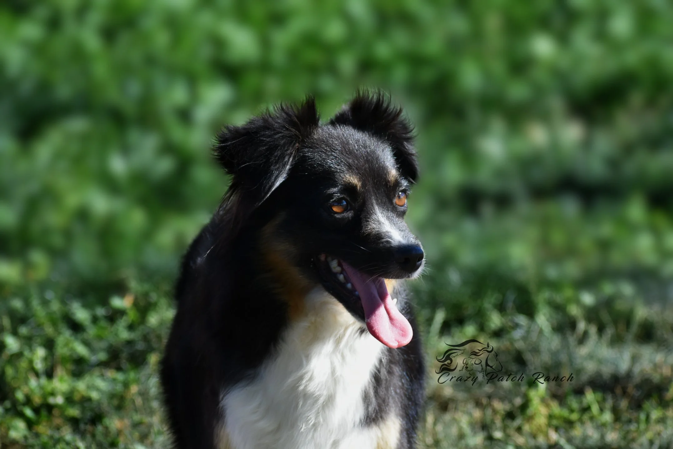 DSC_24511.JPG