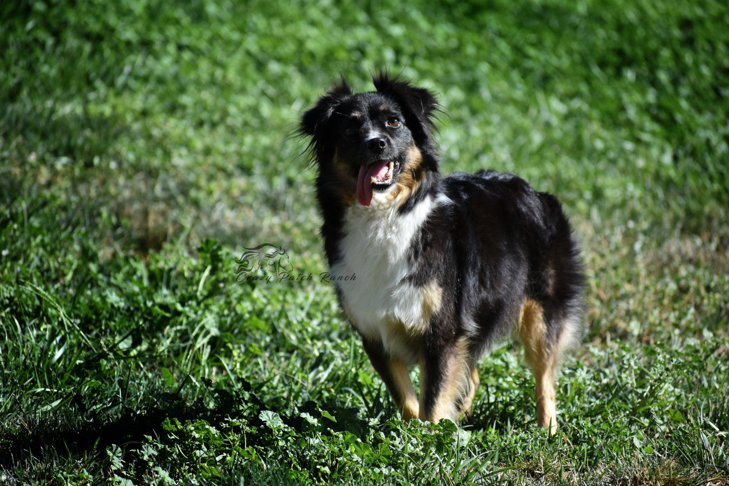 DSC_24651.JPG