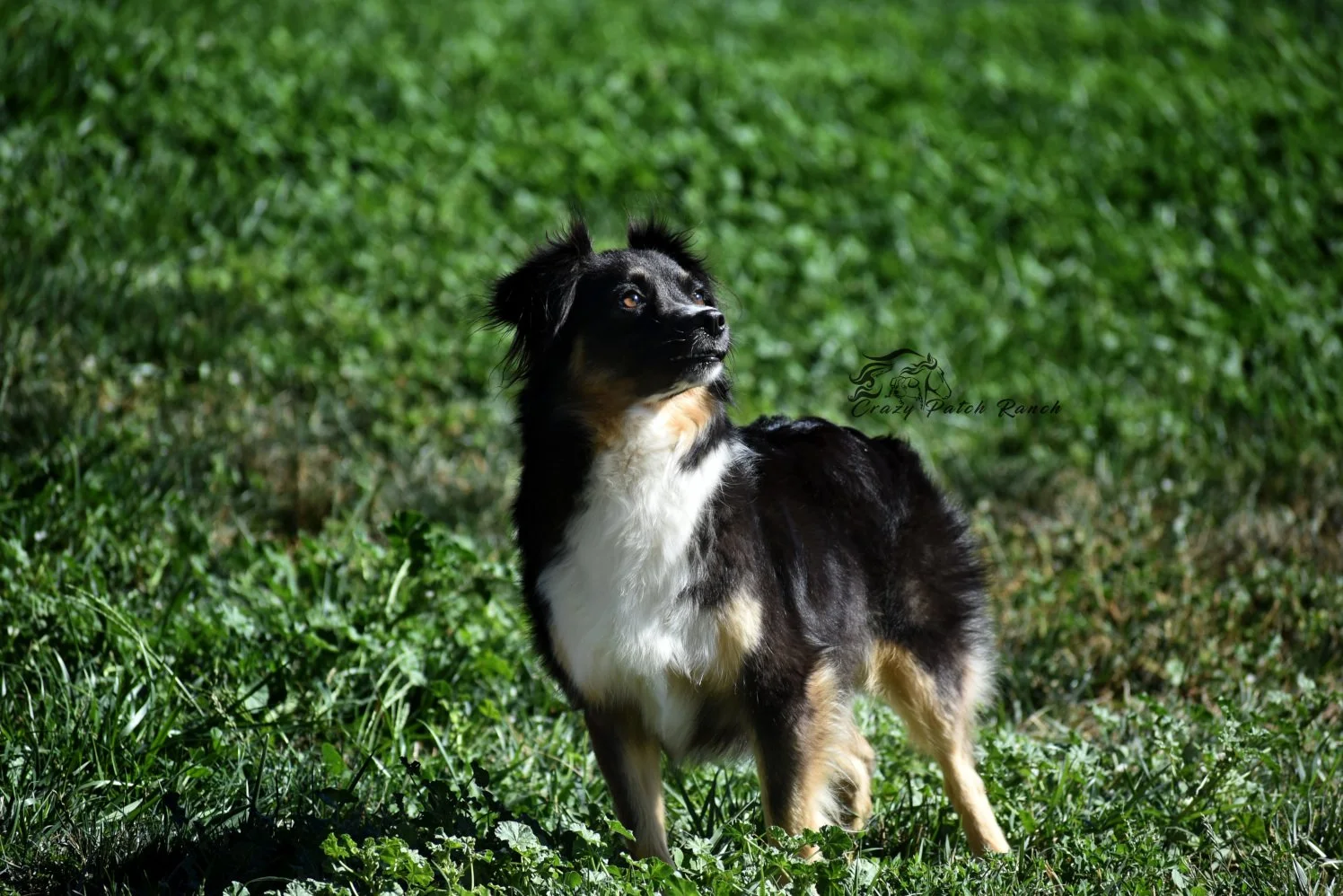 DSC_24671.JPG