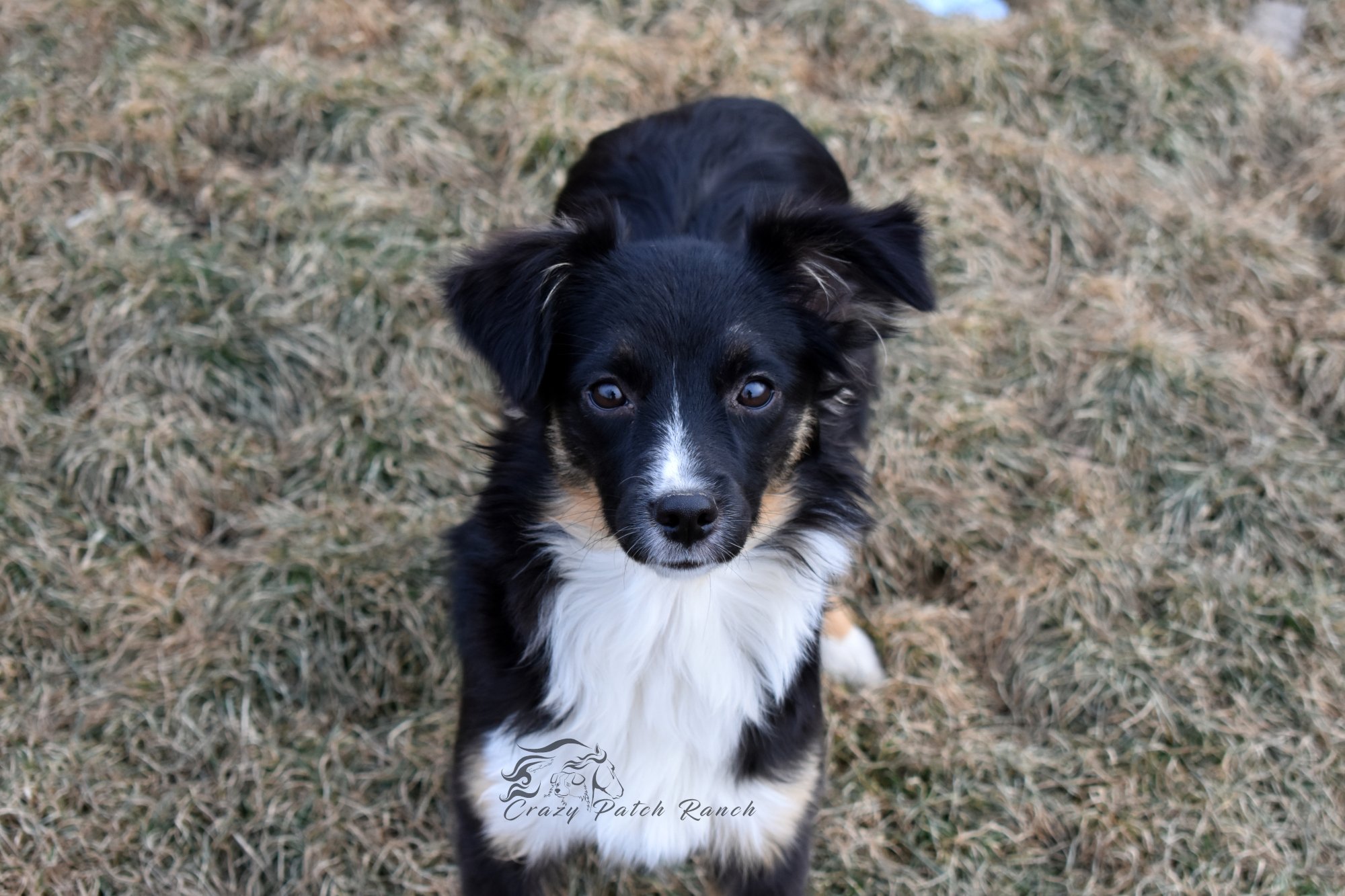 DSC_32611.JPG