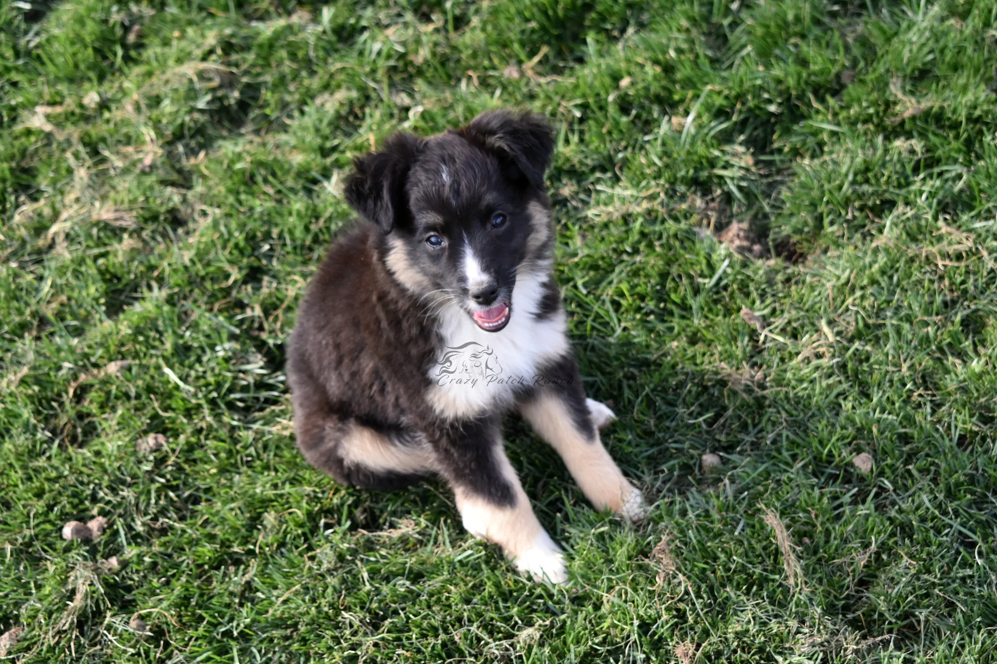 DSC_08021.JPG