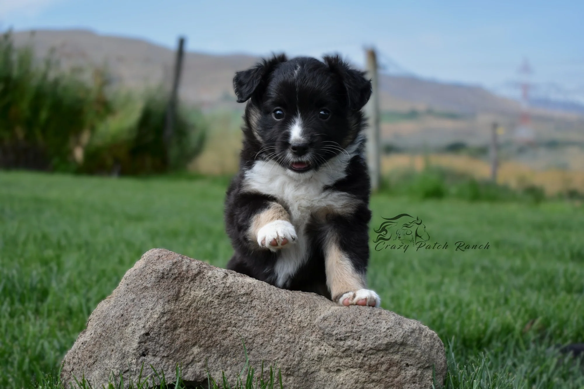 DSC_97121.JPG