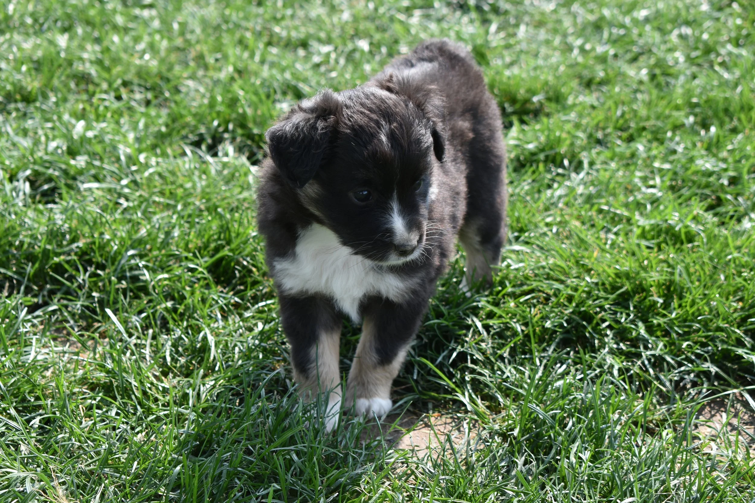 DSC_9450.JPG