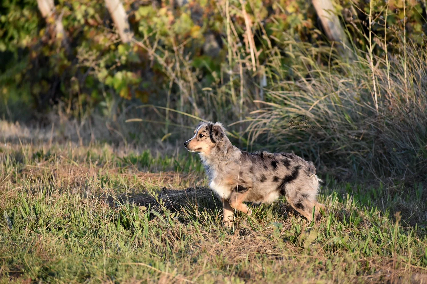 DSC_59441.jpg
