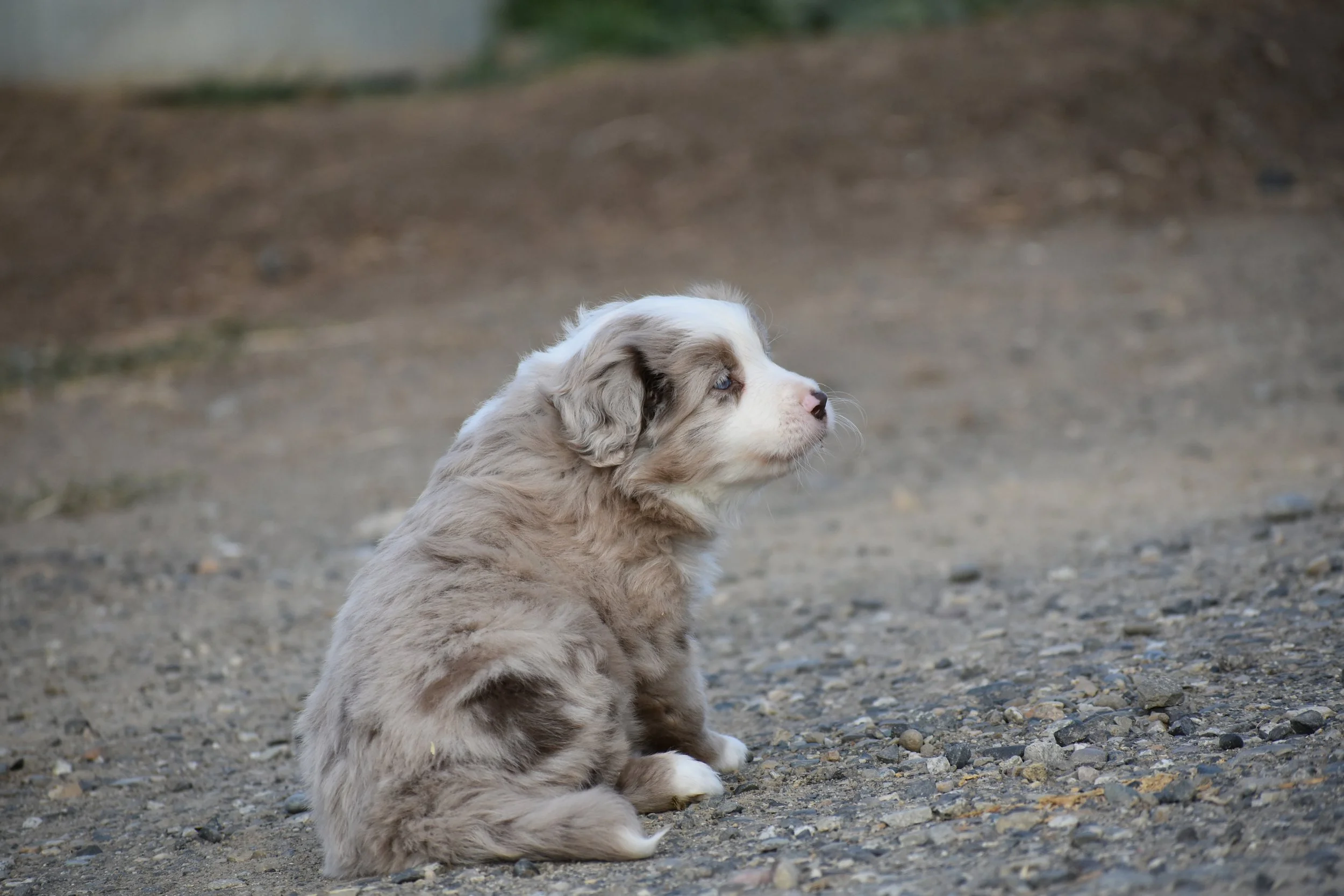 DSC_71791.jpg