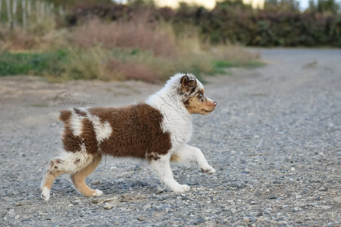 DSC_73611.jpg