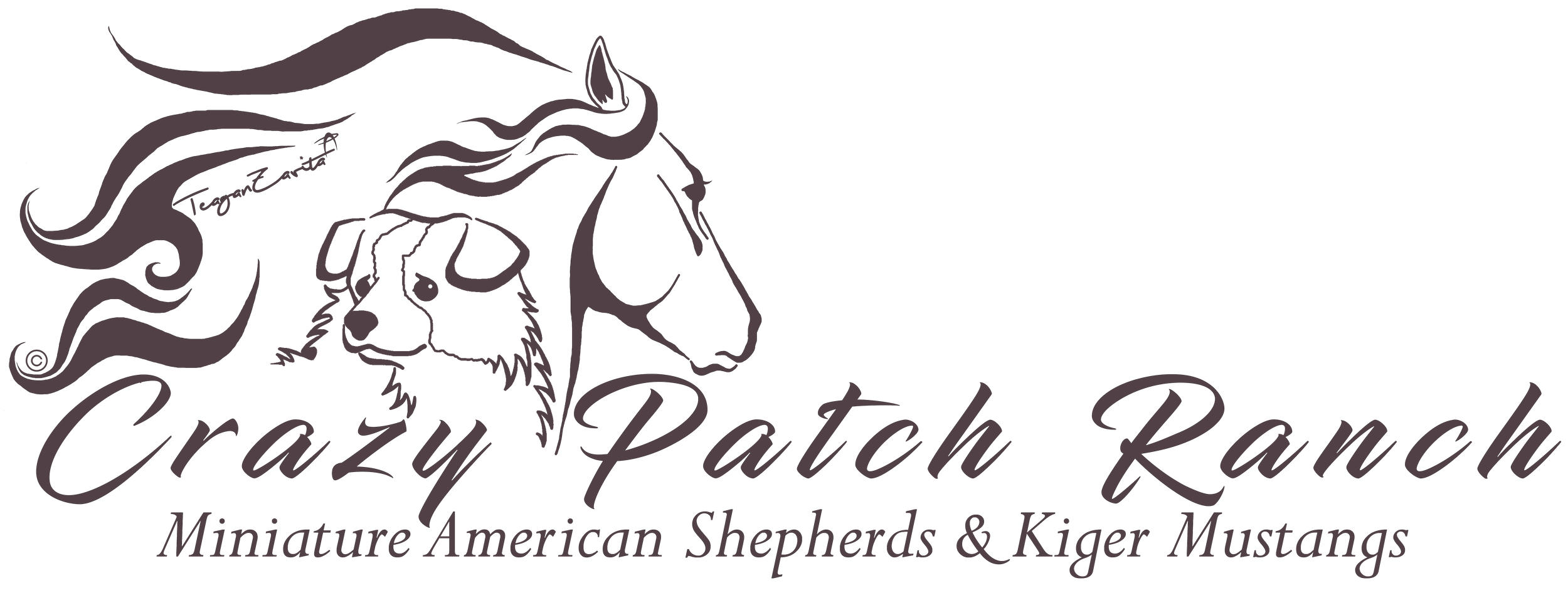 Crazy Patch Ranch 