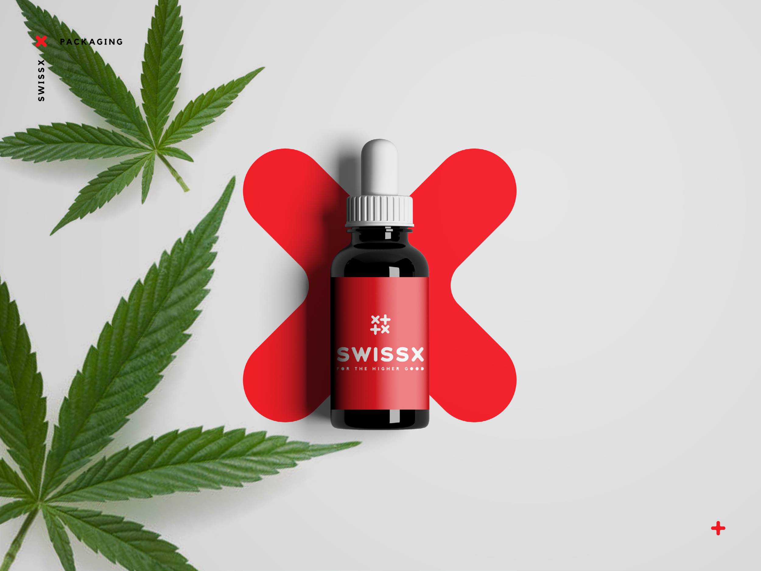 SwissX-Deck11.png