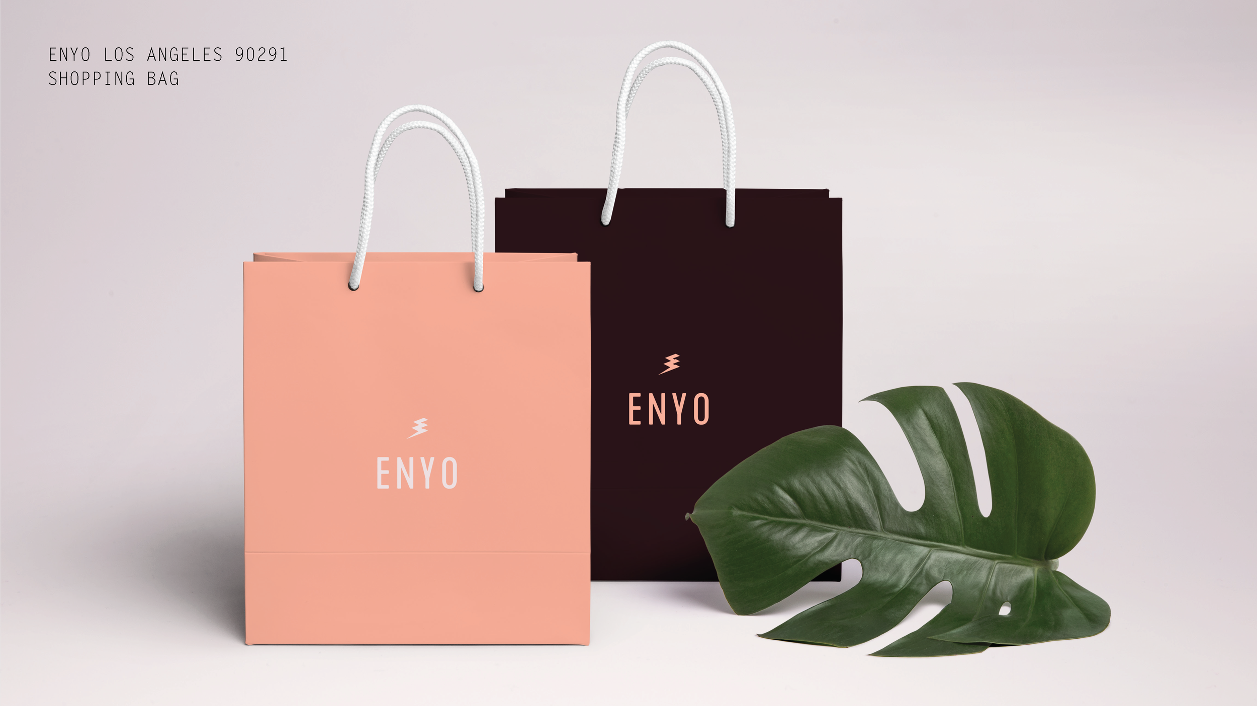 Enyo-Presentation-Final_Page_16.png