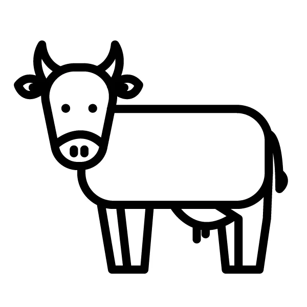 webicons-04.jpg