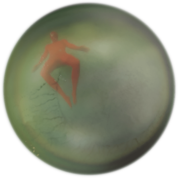 Layer 6-min.png