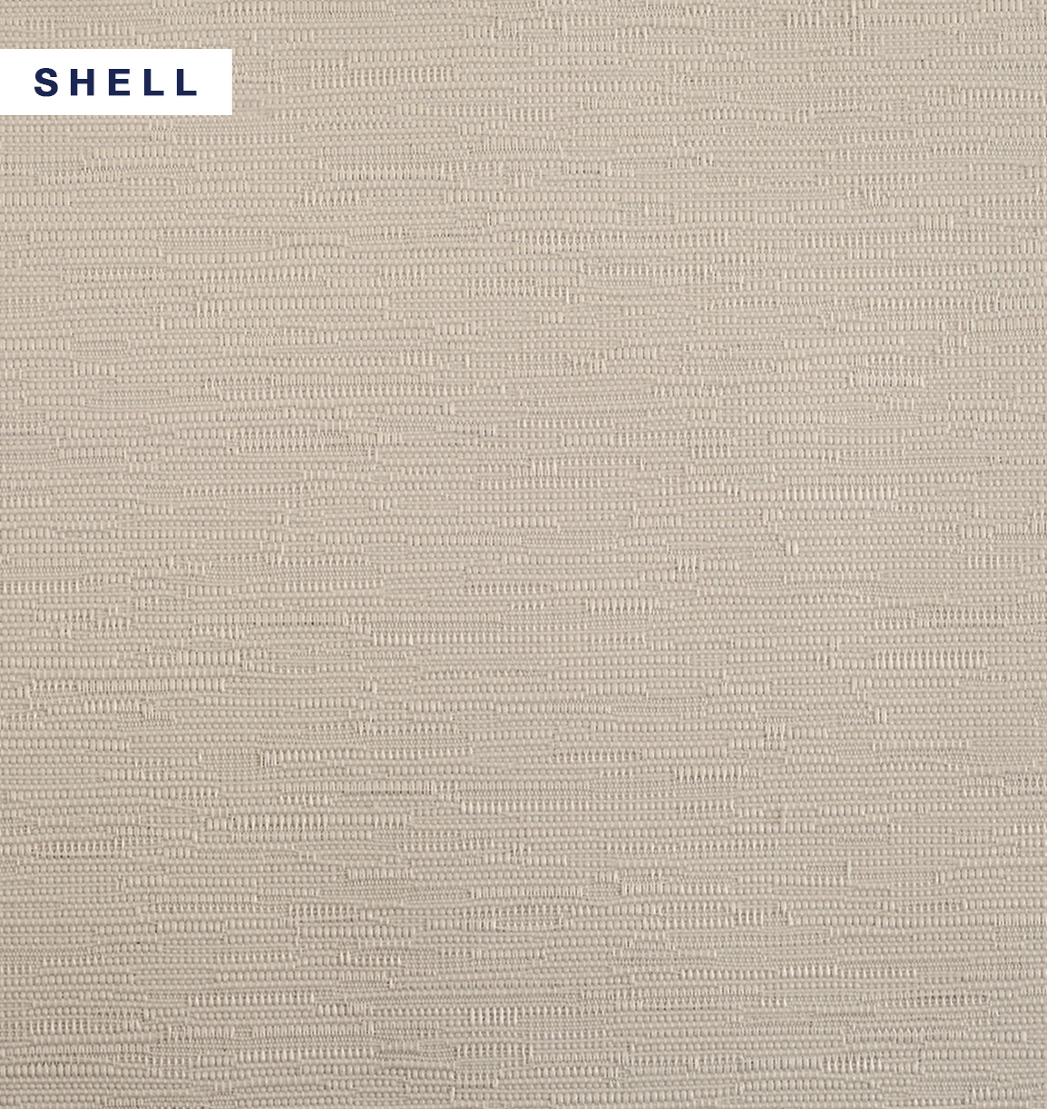 Le Reve - Shell.jpg