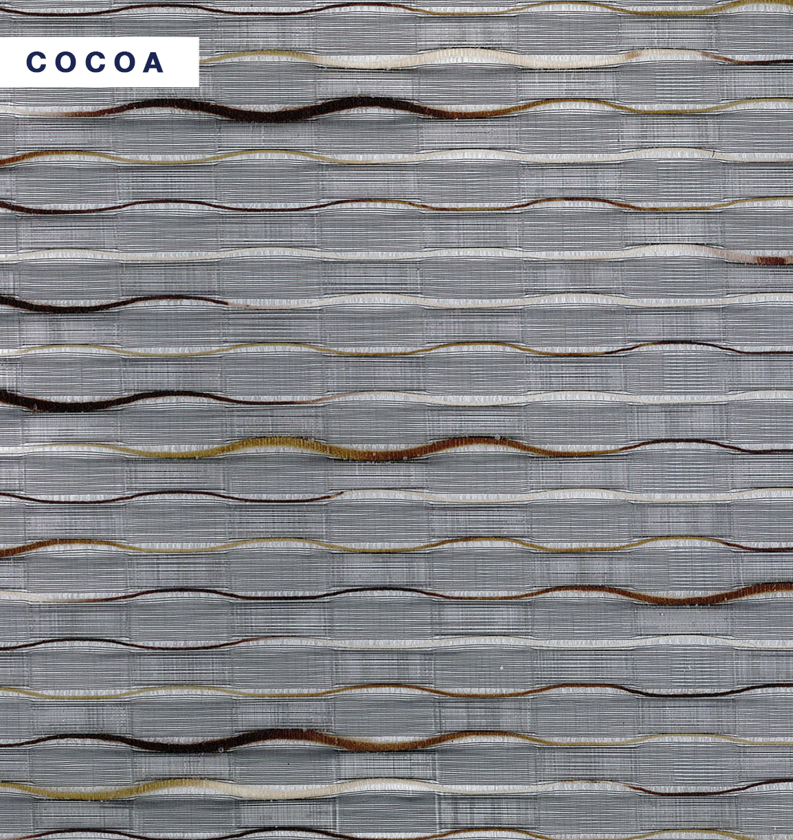 Parnell - Cocoa.jpg