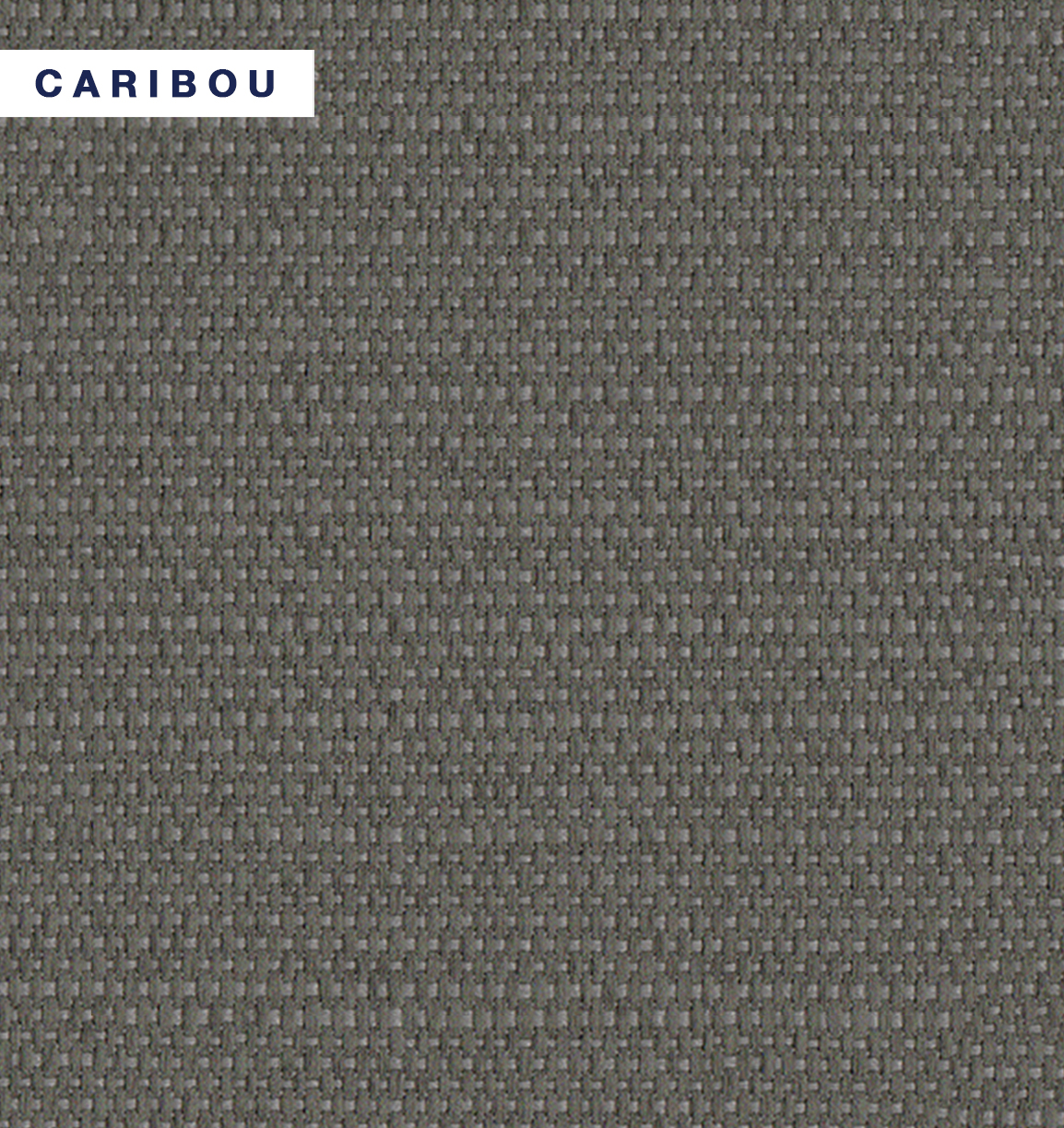 Serengetti - Caribou.jpg