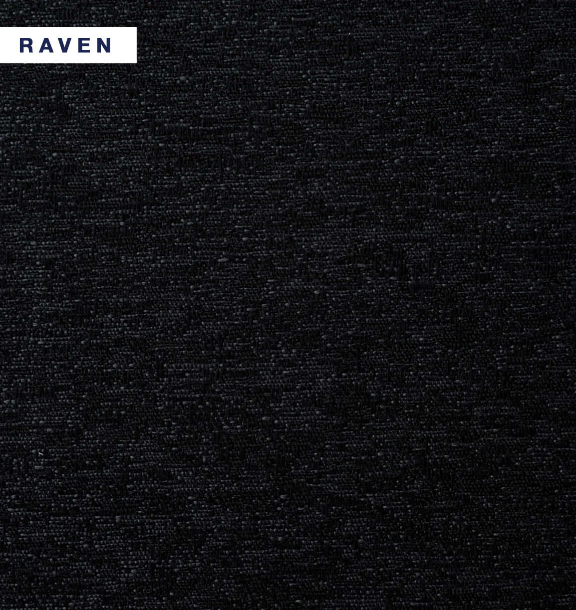 Skye - Raven.jpg