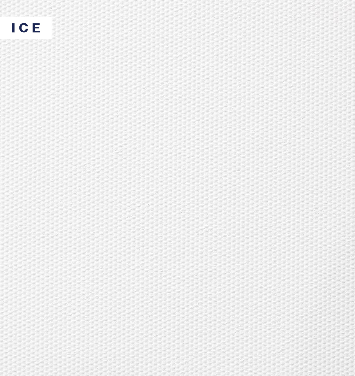 VIBE - Ice.jpg