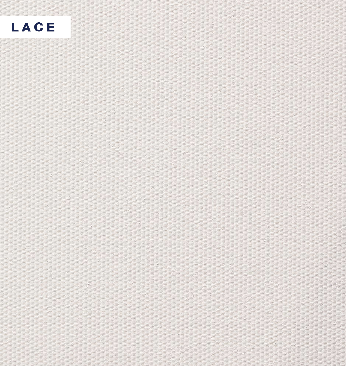 VIBE - Lace.jpg