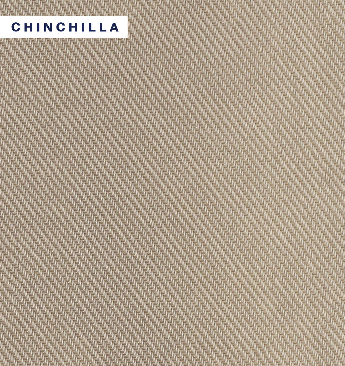 Aquila - Chinchilla.jpg