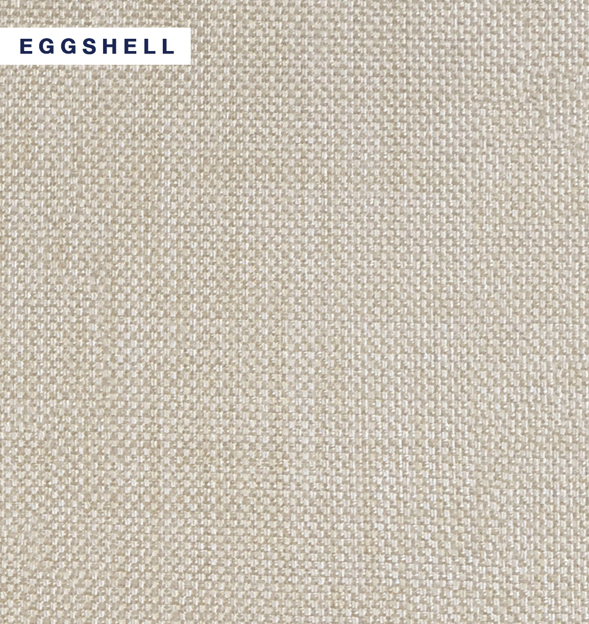 Lynx - Eggshell.jpg