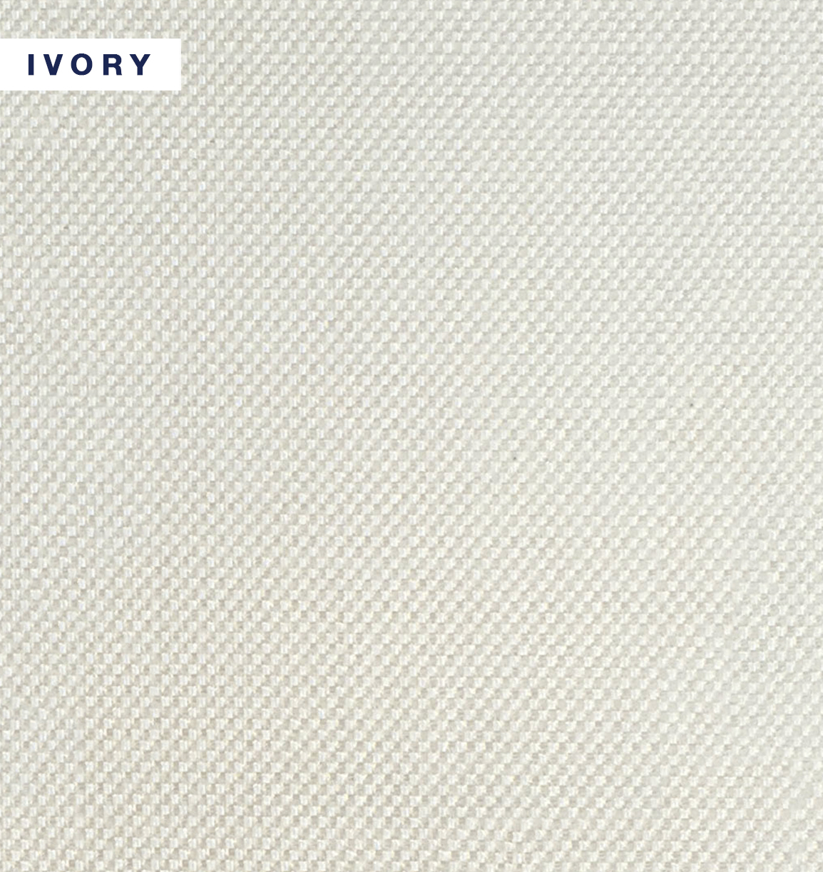 Lynx - Ivory.jpg