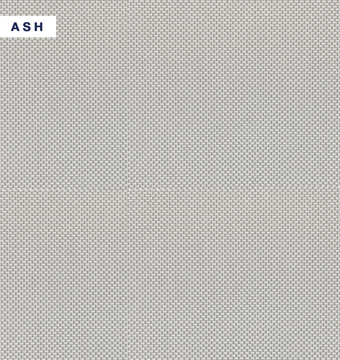 Phoenix - Ash.jpg