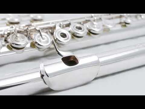 Liebermann Flute Sonata, Movement I